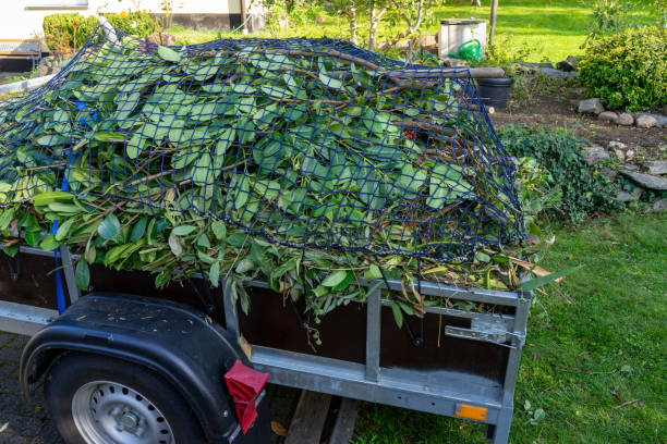 Best Furniture Removal  in Mount Pocono, PA